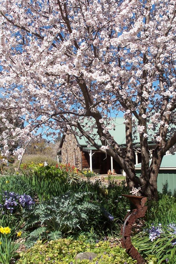 Inspiring Views B&B Wodonga Exterior photo