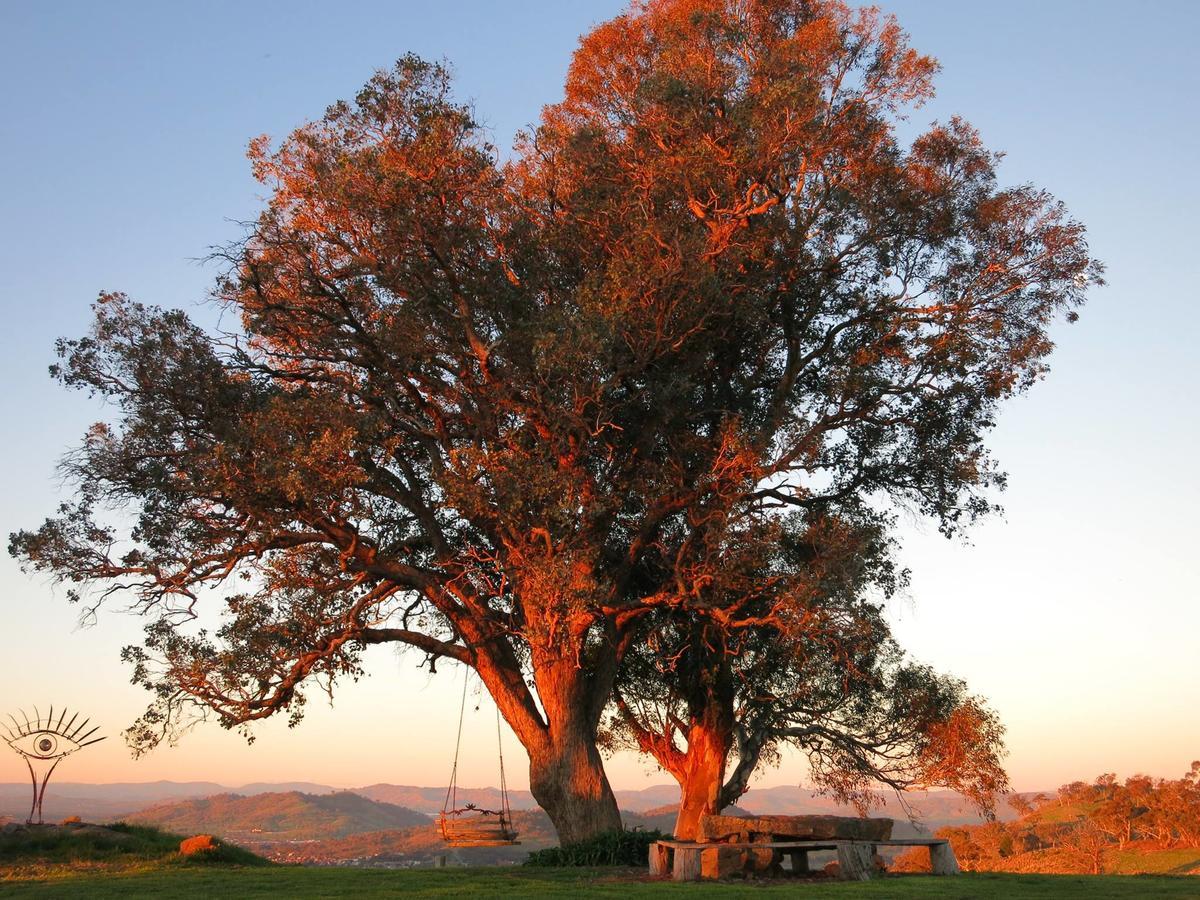 Inspiring Views B&B Wodonga Exterior photo
